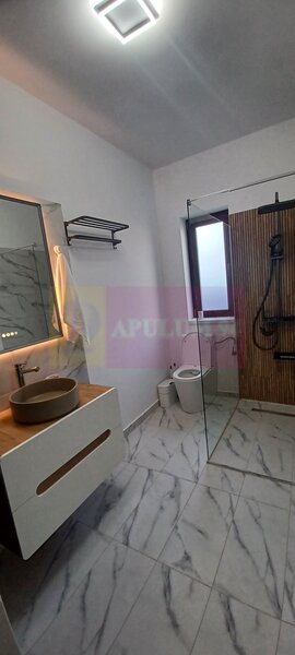 Sabareni, casa noua tip parter, cu pod mansardabil